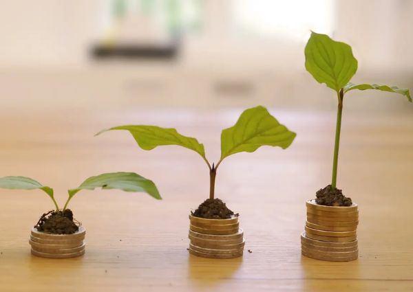 Three plants growing on coin stacks showing stages of sustainable financial growth.