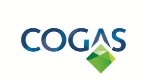 COGAS logo with blue gradient letters and a green geometric diamond shape.
